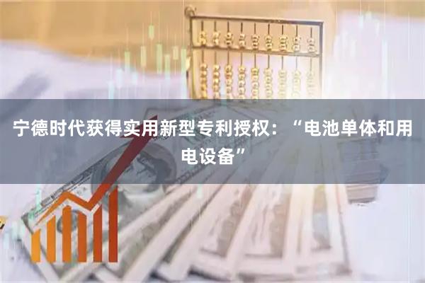宁德时代获得实用新型专利授权:“电池单体和用电设备”